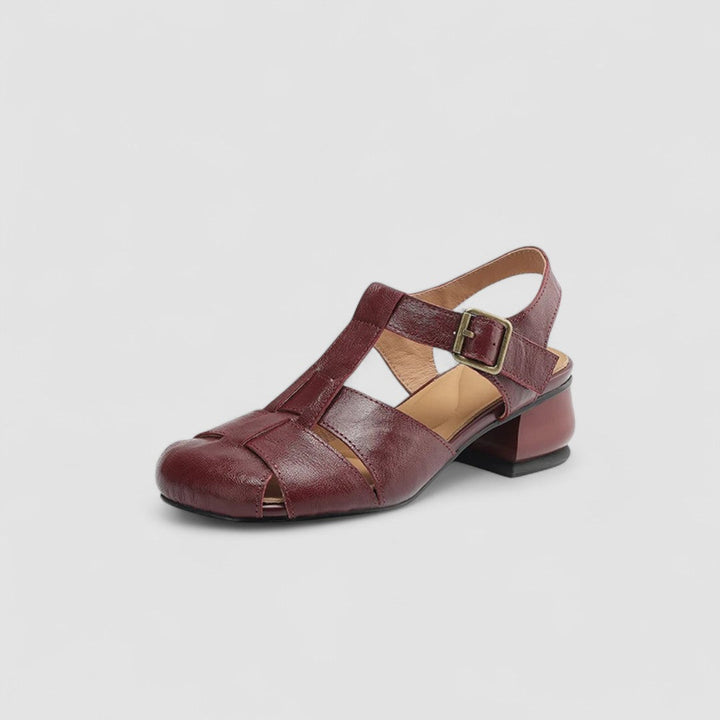 Women's Orthopedic Mary Jane Shoes Block Heel Ankle Strap