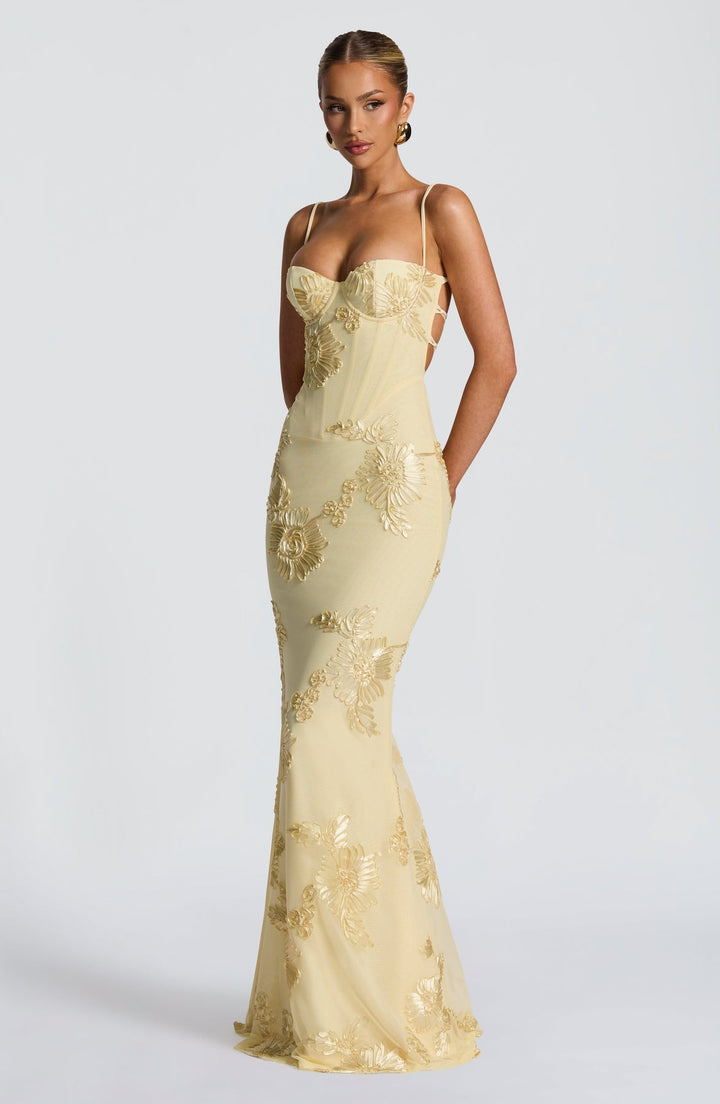 Women's Floral Appliqué Corset Maxi Dress